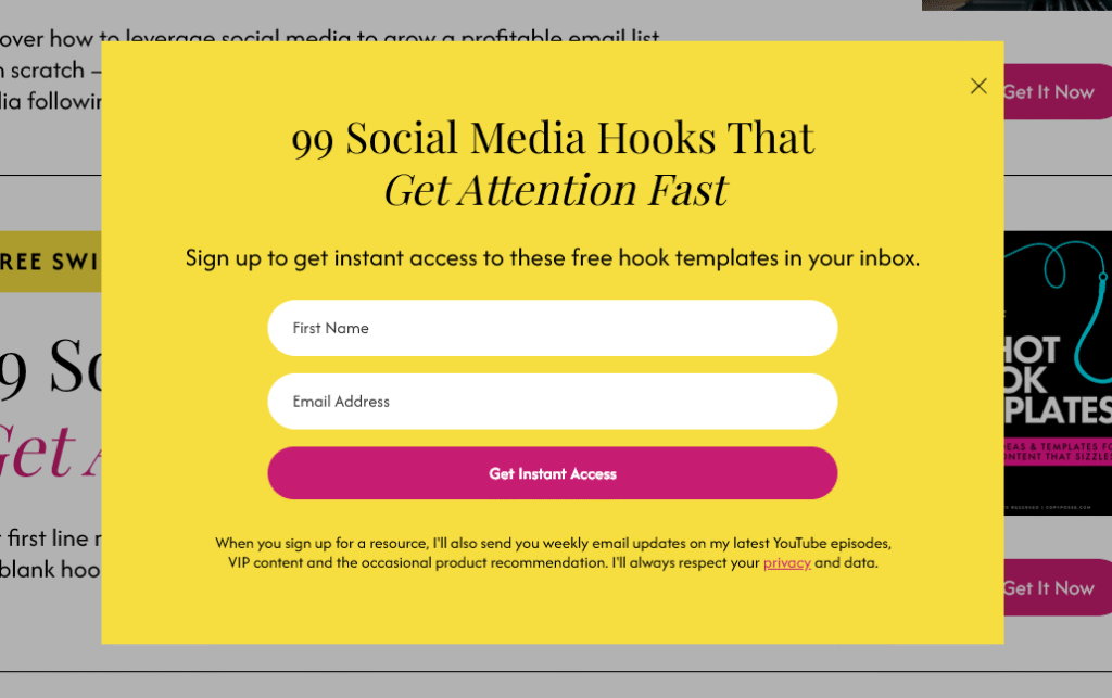 Pop-up form offering free social media hook templates